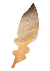 Marble leaf png clipart, brown botanical collage element on transparent background