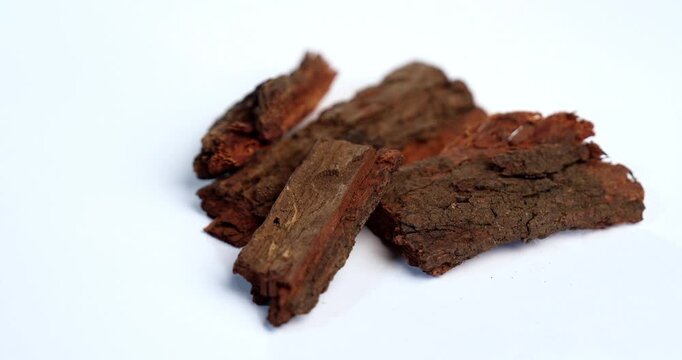 Babul Chaal - Acacia Bark, also known as Vachellia,Nilotica bark,Kikar Ki Chaal, Gum Arabic Tree Bark