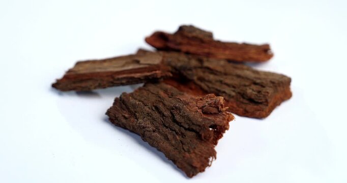 Babul Chaal - Acacia Bark, also known as Vachellia,Nilotica bark,Kikar Ki Chaal, Gum Arabic Tree Bark