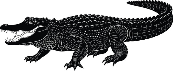 Detailed alligator illustration, fierce reptile artwork, black and white crocodile design, wildlife predator graphic, dangerous animal silhouette drawing for stock use