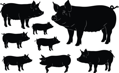 Silhouette collection of farm pigs in various poses, domestic livestock illustration set, black pig animal shapes, agriculture design elements, vector artwork