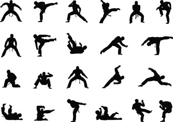 Silhouettes of martial artists practicing dynamic combat moves, kicks, strikes, ground techniques, self-defense poses, training action illustration for creative design projects