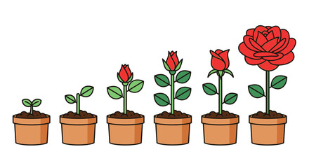 Watch your business blossom with this illustration of rose growth