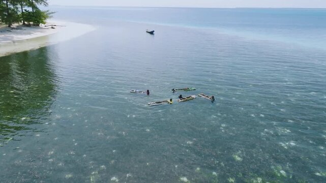 Aerial View Of Fishermen Catching Squid in Seagrass Beds Canabugan island, Balabac, Philippines
raditional method where divers swim and wade over dense seagrass beds, using small, makeshift floating