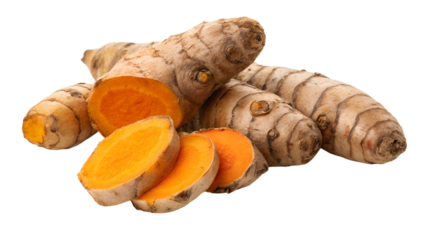 Fresh Raw Turmeric Root Rhizomes with Bright Orange Sliced Cross Section