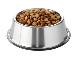 Stainless Steel Pet Bowl Full of Dry Dog Food or Kibble for Canine Nutrition