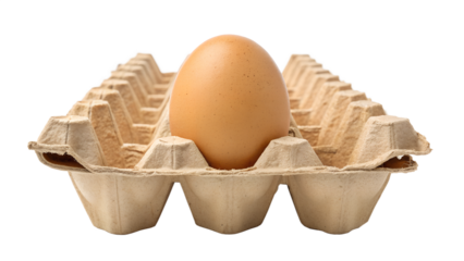 Single Brown Chicken Egg in a Cardboard Pulp Carton Section