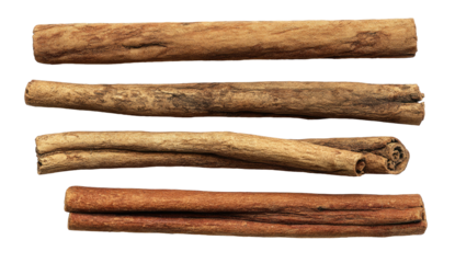 Four dried cinnamon sticks arranged vertically on black
