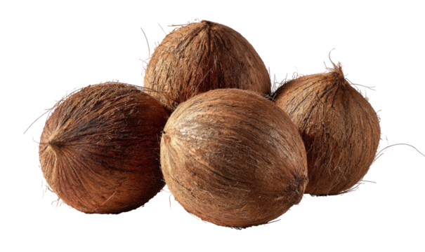 Four brown, hairy coconuts piled together, isolated on a black background
