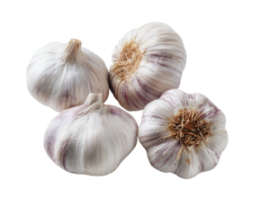 Four whole bulbs of fresh garlic on a dark background