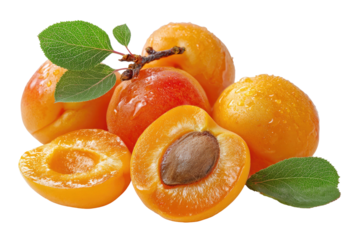 Juicy, ripe apricots, some halved, on a stem with leaves