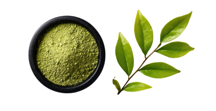 Vibrant green powder in bowl beside fresh green leaves and stem