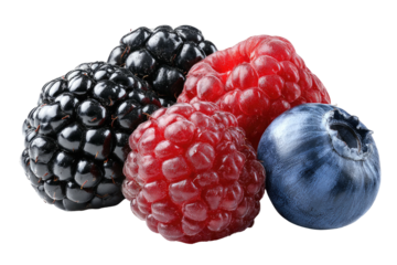 A still life of vibrant, fresh berries on a dark background