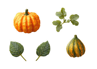 Small pumpkins and green leaves on black background