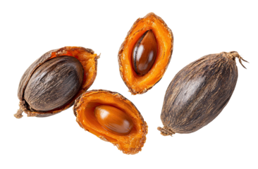 Close-up view of four palm nuts, two whole, two split