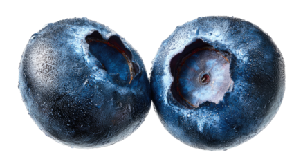 Close-up of two ripe, dark blue berries with natural surface textures