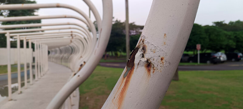Curved Metal Walkway Structure Over Reflective Pool