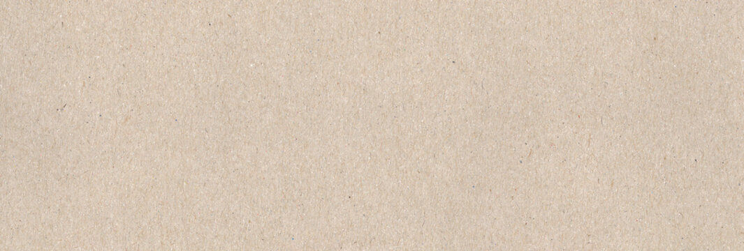 Horizontal background of scanned gray cardboard texture.