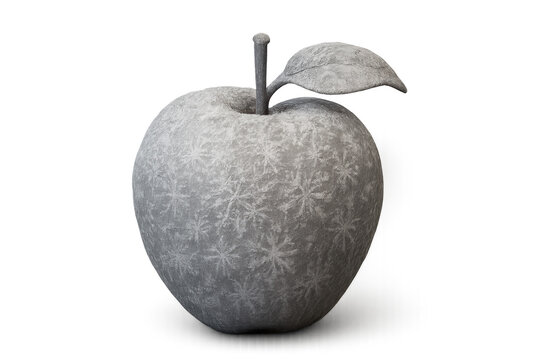 A grey decorative apple with a frosty snowflake texture and a single leaf, presented as a minimalist artistic sculpture with a cold, elegant aesthetic