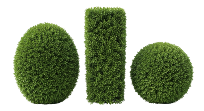 Three green bushes in different shapes transparent background cutout png