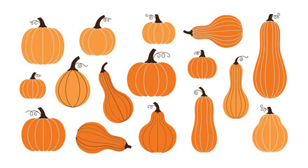 Collection of various orange pumpkins, gourds, and squashes of different shapes and sizes, perfect for autumn.