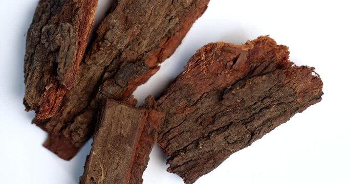 Babul Chaal - Acacia Bark, also known as Vachellia,Nilotica bark,Kikar Ki Chaal, Gum Arabic Tree Bark