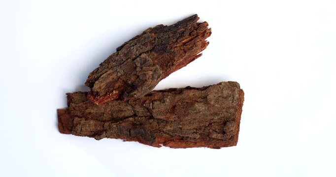 Babul Chaal - Acacia Bark, also known as Vachellia,Nilotica bark,Kikar Ki Chaal, Gum Arabic Tree Bark