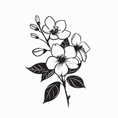 Sampaguita Flower Branch Vector Illustration on white background