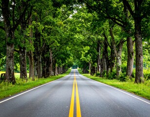 Long asphalt road bordered by trees, leading toward the horizon