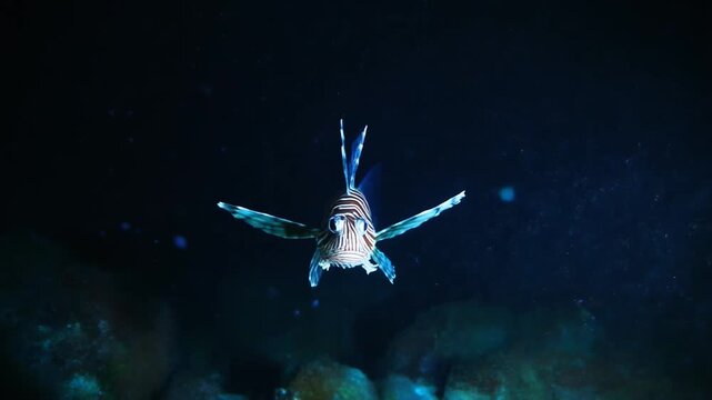 Cinematic deep ocean scene of a lanternfish glowing faintly in the darkness