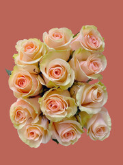 bouquet of roses monochrome