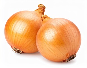 Fototapeta premium Two golden onions with dry skin, against a white backdrop
