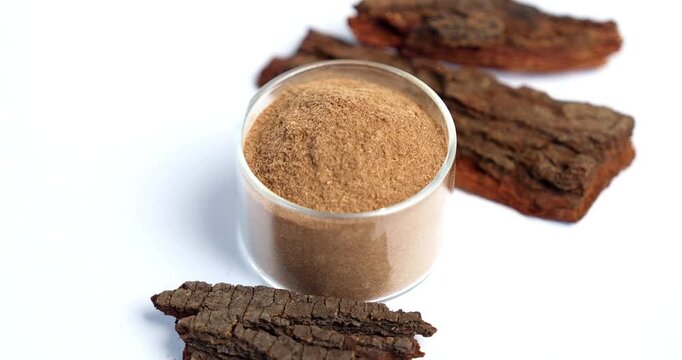 Babul Chaal - Acacia Bark, also known as Vachellia,Nilotica bark,Kikar Ki Chaal, Gum Arabic Tree Bark