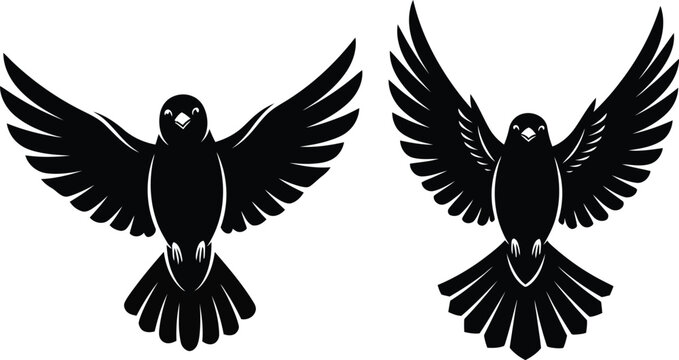 Two flying birds vector illustration black silhouette design isolated eps