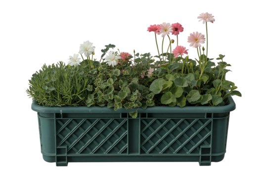 Green rectangular planter box filled with blooming flowers isolated on transparent background