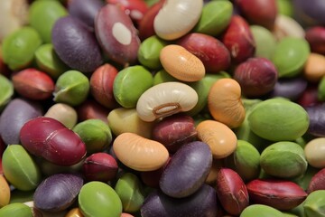 Assorted Heirloom Beans - Colorful Dried Legumes Close-Up