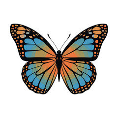 Colorful monarch butterfly insect with wings isolated on white background