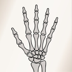 Detailed illustration of a human hand skeleton showing carpals, metacarpals, and phalanges.