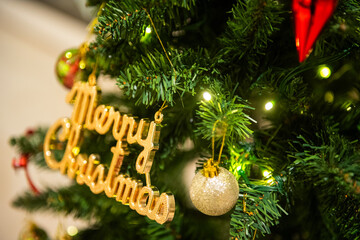 キラキラ輝くクリスマスツリー