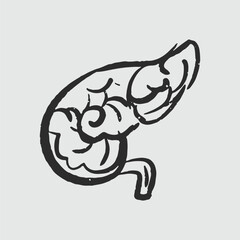 Illustration of an Handdrawn Doodle Human Organ pancreeas