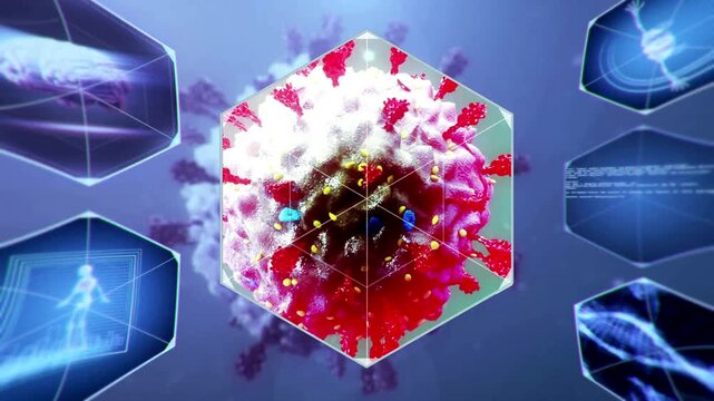 Rotating red coronavirus model inside a futuristic digital hexagonal interface surrounded by medical data screens representing virology research and biotechnology on blue background - Powered by Adobe