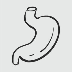 Illustration of an Handdrawn Doodle Human Organ stomach