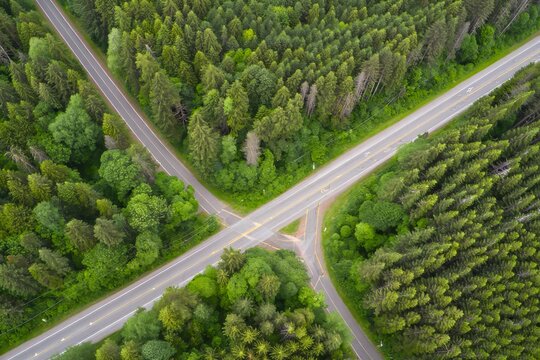 Aerial View of Forest Road Intersection