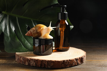 Wooden round slice, giant Achatina snail and bottle of cosmetic product on dark wooden background, closeup