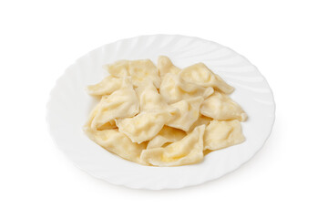 Delicious handmade dumplings served on a white plate for a satisfying meal