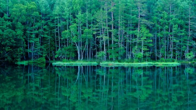 御射鹿池　夏