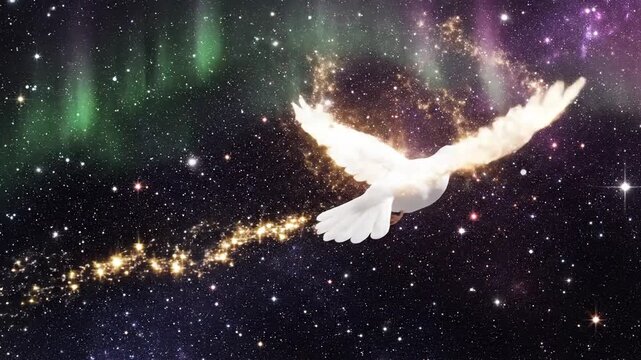 Soaring white bird against abstract celestial background