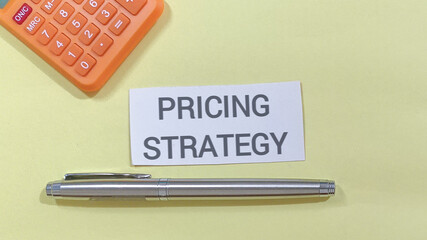 Business planning and financial strategy development for optimal pricing and market success