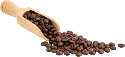 Close Up Of Roasted Dark Brown Coffee Beans Spilling From A Light Wooden Scoop Onto A Transparent Background Isolate Commodity Caffeine Beverage Ingredient Raw