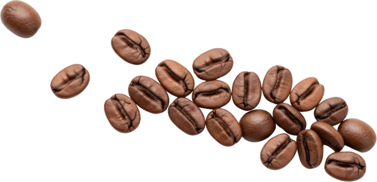Close Up Detailed View Of Roasted Brown Coffee Beans Scattered And Overlapping On A Transparent Background Isolate Closeup Coffee Shop Caffeine Beverage Breakfast